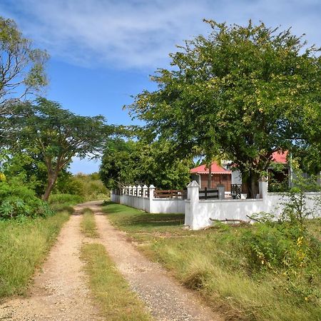 Gites Du Domaine De La Canne A Sucre Anse-Bertrand Eksteriør bilde